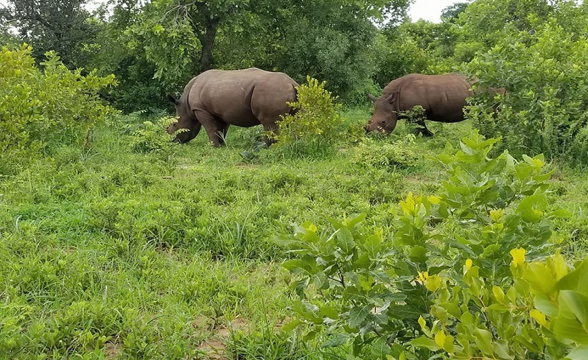 Mosi-Oa-Tunya National Park