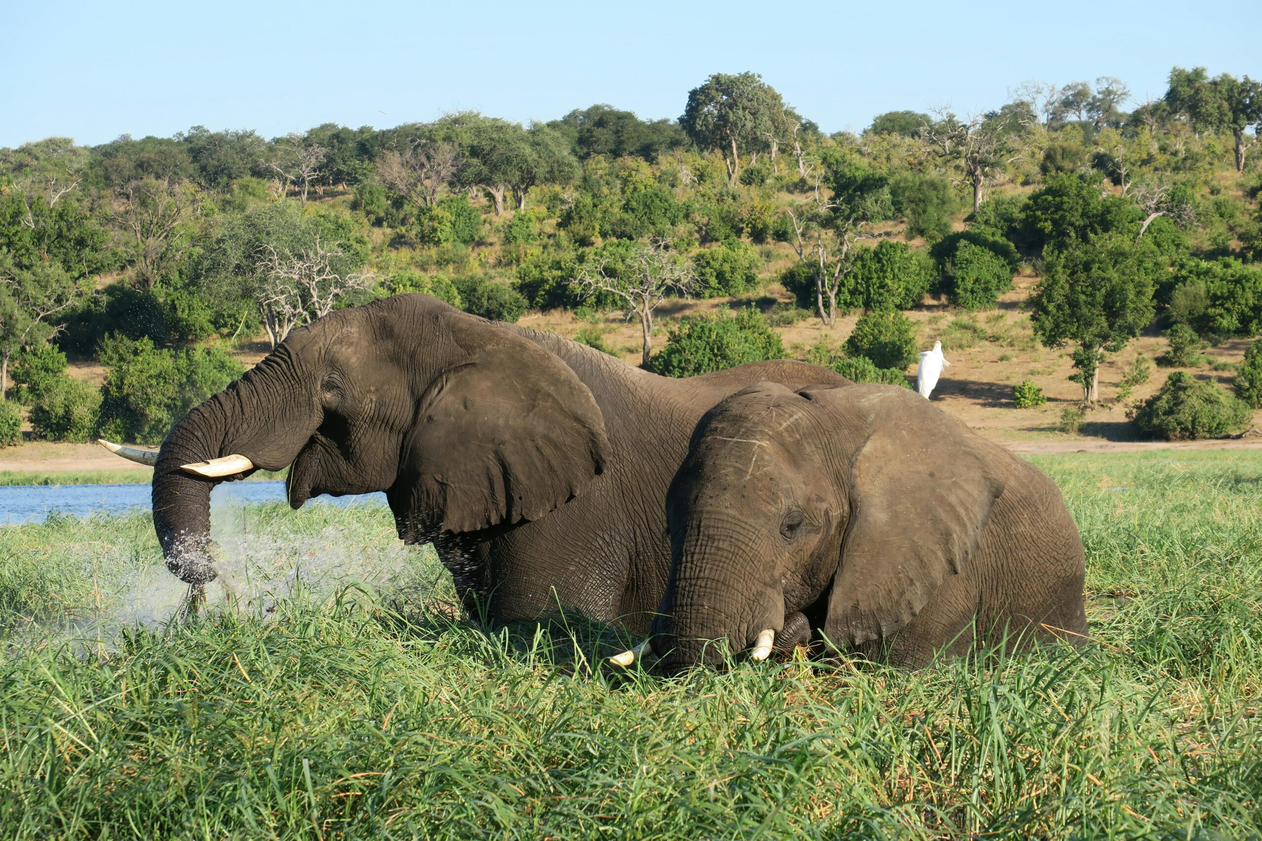 2. Botswana