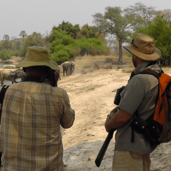 Walking Safari