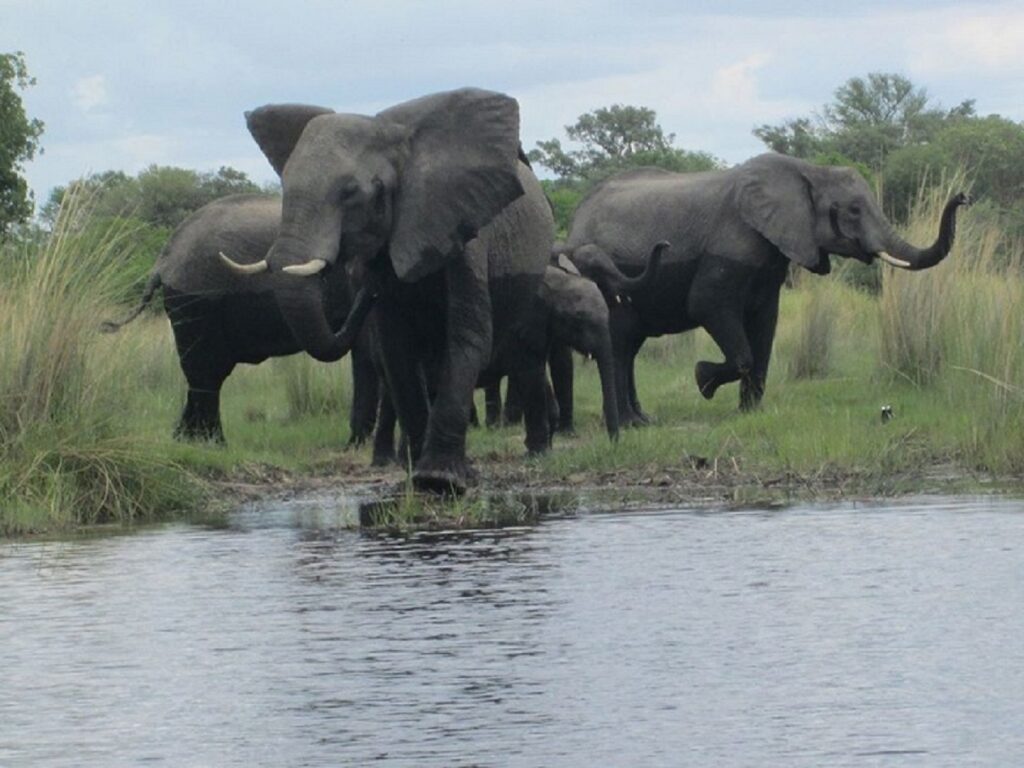 Botswana